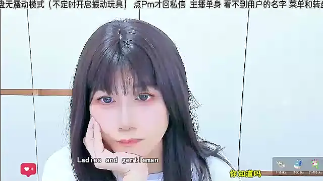Sunflower_cute11 webcam