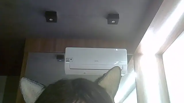 SkinnyKitten webcam