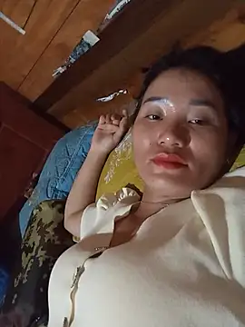 Td3di webcam