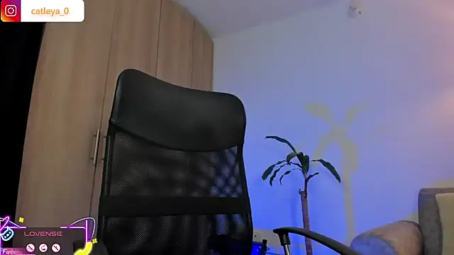 catleya_0