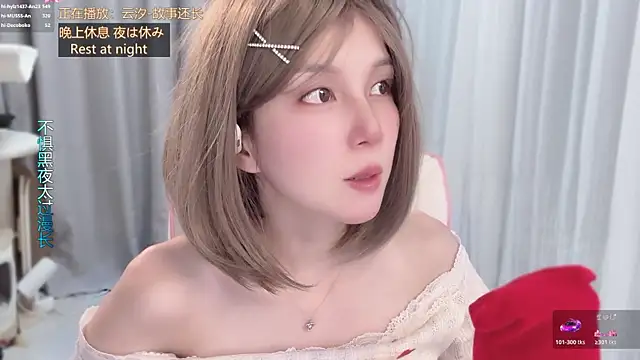hi-AnAn webcam