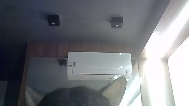 SkinnyKitten webcam