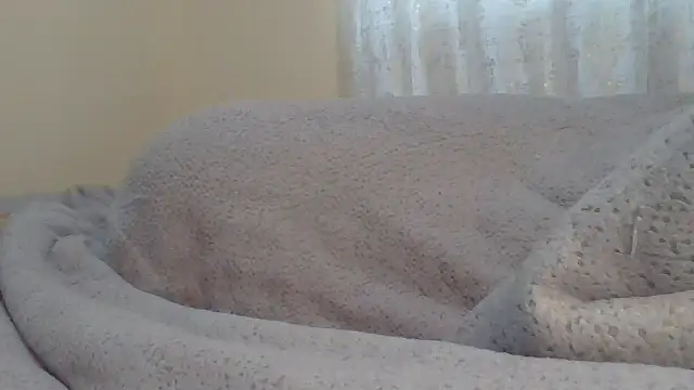 ndivhuwomuleya webcam