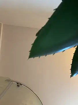 Michel_huge webcam