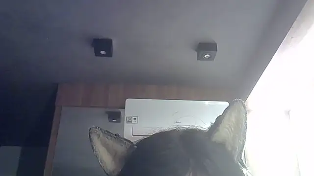 SkinnyKitten live cam on StripChat