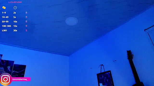 Nicorobinn webcam