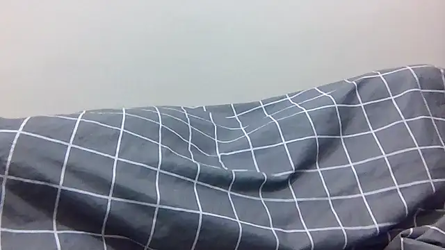 SlayNova webcam