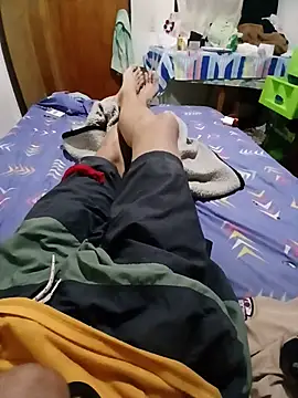 Transdecloset webcam