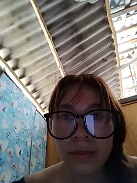 Biva11 webcam