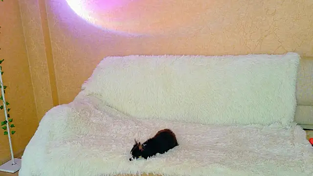 SweeetMia webcam