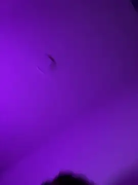Stefy_sophie03