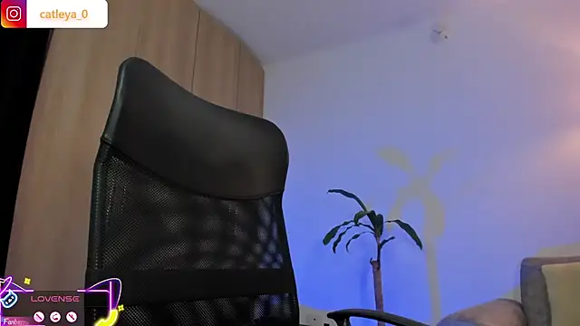 catleya_0 live cam on StripChat