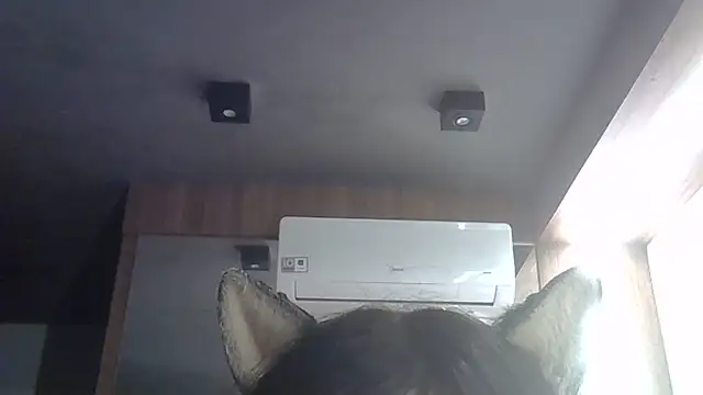 skinnykitten - SkinnyKitten's free webcam - UK Sex Cams
