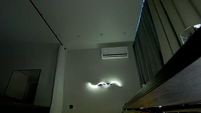 Tommy_cat webcam