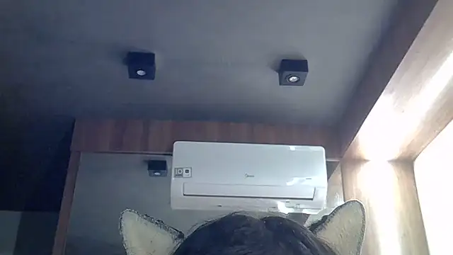 SkinnyKitten webcam
