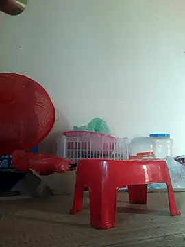-Tara-a webcam