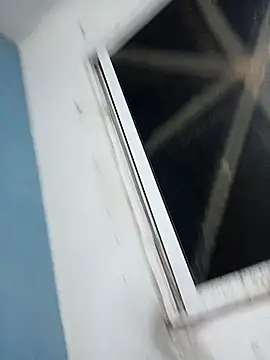 ramito1007 webcam