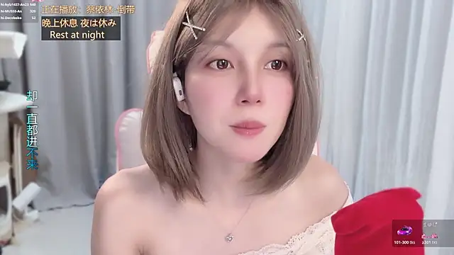 hi-AnAn webcam