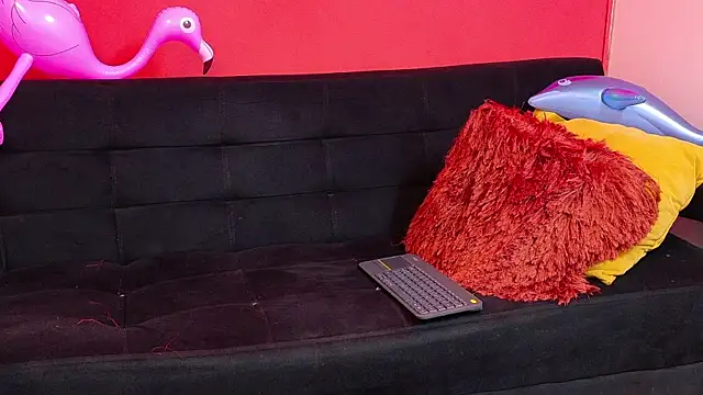 LoganSteel_ webcam