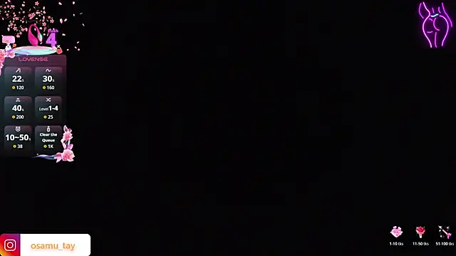 osamu_tay webcam