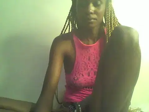 DelteAfriq webcam