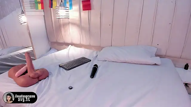avy_st webcam