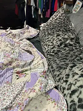 sweetkacibaby webcam