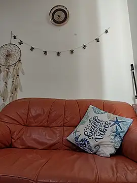 ParevePay webcam