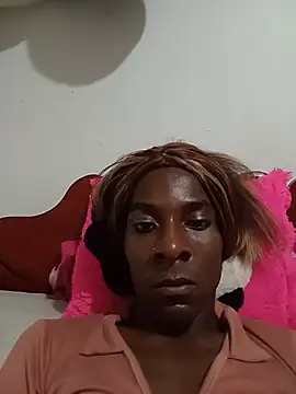 ameralis31 webcam