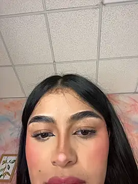 EvasBlazeXXX webcam