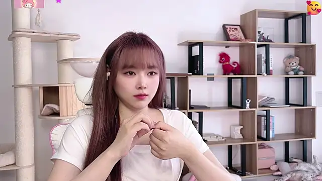 SakuraCat6 webcam