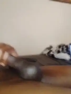 Da-Dick-Son webcam