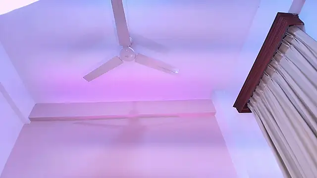 JupiteFox webcam