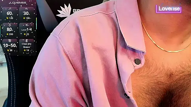 SilverShade3 webcam