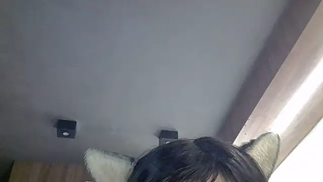 SkinnyKitten webcam