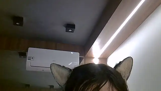SkinnyKitten webcam