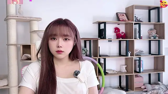 SakuraCat6 webcam