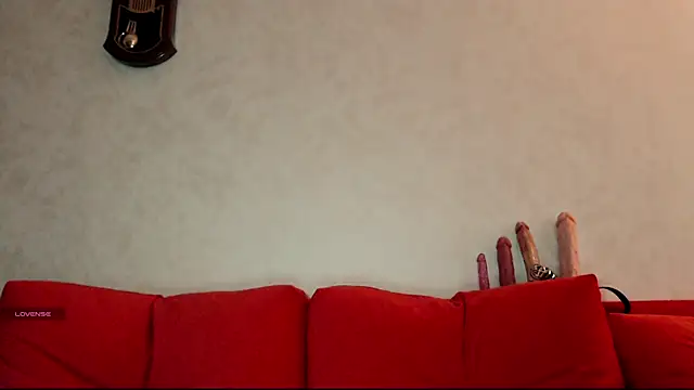 Steve_q webcam