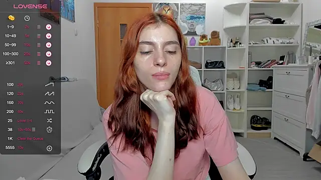broosnica1 webcam