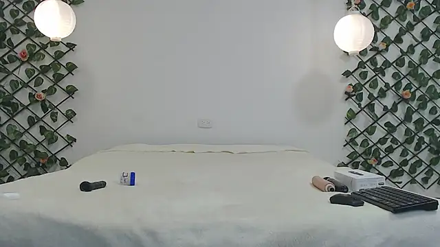 In2me webcam