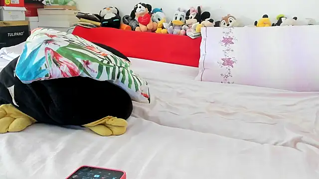 BIGtitsANA webcam