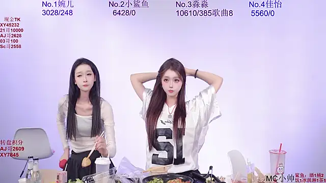 STY_0089 webcam