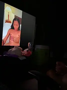 Ragnarrodbrok webcam