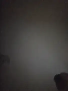 Nidge251 webcam