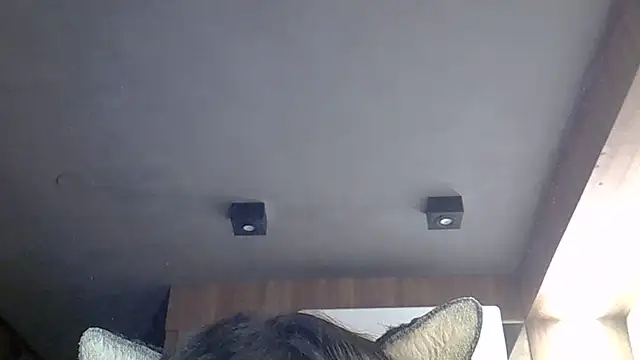 SkinnyKitten webcam