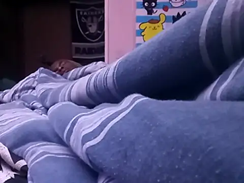 Blkstylion webcam