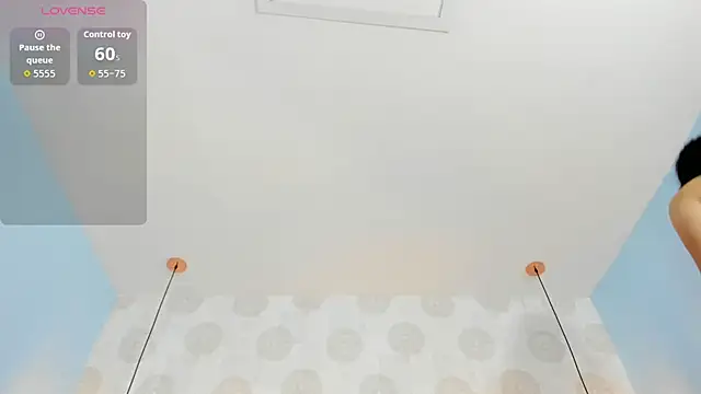 EVAGRECO webcam