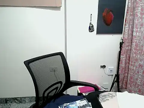 Came-II webcam