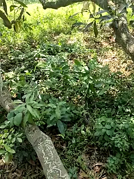 telugubidda333 webcam