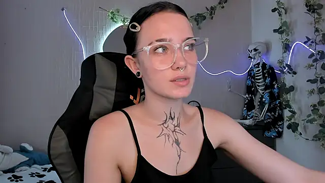 Elastikisss webcam